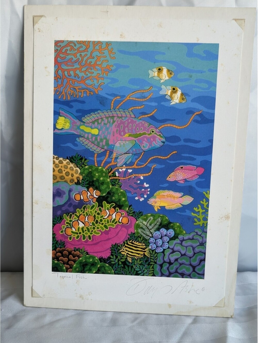 David Ashe Signed Print Tropical Fish Great Barrier Reef Marine Art 12x9